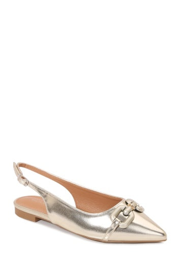 OLIVE55